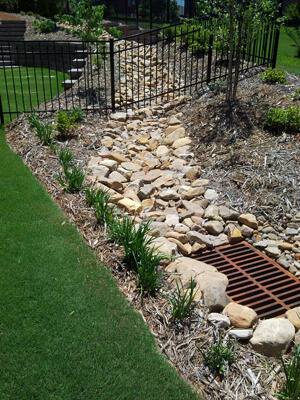 Backyard French drainage system with a drainage grate