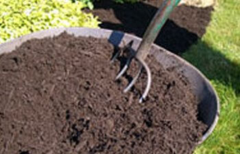 Forks driven into the ground in the container