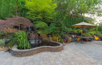 Backyard Landscaping