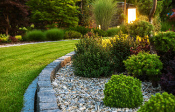 flower bed with decorative green garden plants and evenly mowed